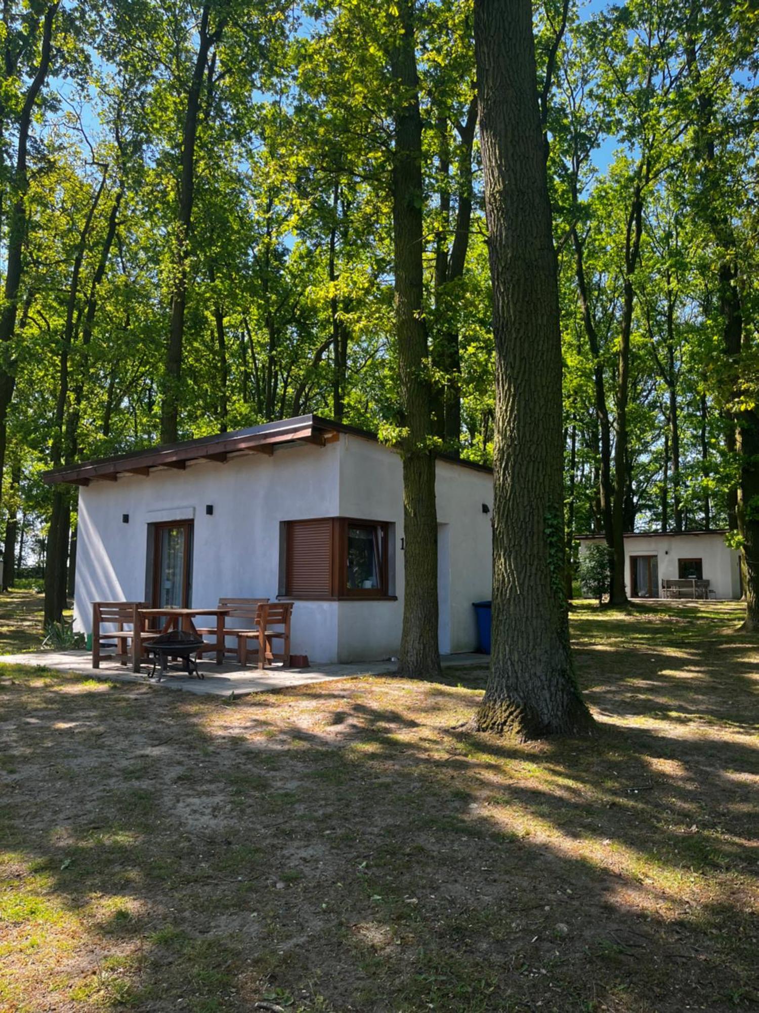 Domki Pod Debami Mojecice Exterior photo